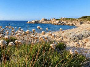 Sardinia in June: weather, swimming & holiday tips
