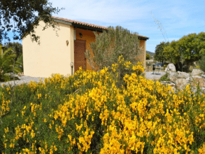 Agriturismo Rocce Bianche, Arbus