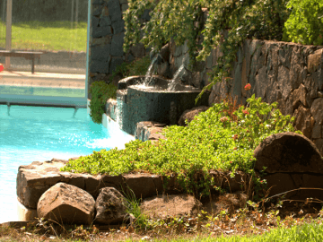 mandra edera piscina prato.png