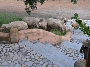 agriturismo-i-mandorli-sardinie-4.png