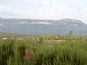 baunei-sardinie-sardinia4all.png