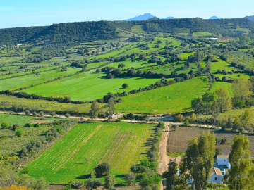 sardinie-agriturismo-sardinie-ogliastra.png
