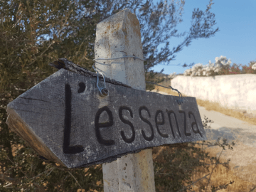 noord-sardinie-torpe-essenza (2).png