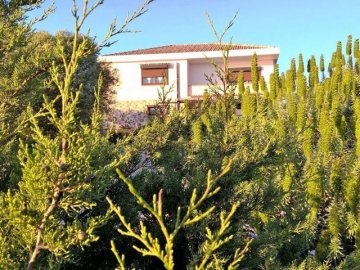 arcamyrtus - vakantie op sardinie.jpg