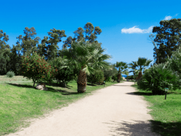 pad-vanuit-het-resort-naar-het-strand-op-sardinie.png
