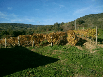 agriturismo-vakantie-sardinie.png