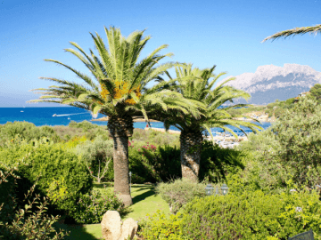 luxe vakantiehuis sardinie - costa corallina - 2.png