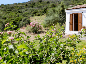 vakantiehuis-sardinie - ferienhaus sardinien (6).png