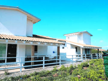 porto-pino (10).png