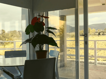 porto-pino-sardinien (1).png