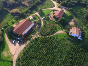 Li Espi Agro Risto Chic Palau, Sardinien