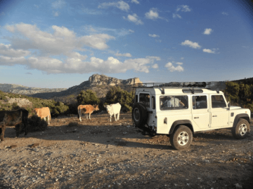 sardinien jeep tour