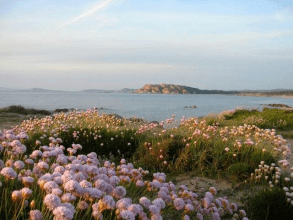 Strand Hotel Ragno d Oro Vignola Mare Sardinien