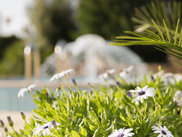 lu hotel porto pino (23).png