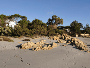 Casa Bianca di Orosei 1 - Sardinia4all