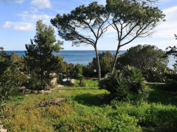 casa bianca di orosei 1 - sardinia4all (4).png