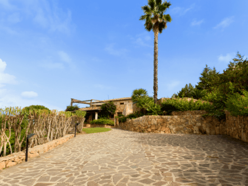 gima capo coda cavallo - sardinia4all (3).png