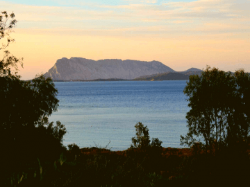 villa iris di isuledda - san teodoro sardinien (3).png