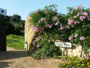 BB Dolce Luna Costa Smeralda mit Pool - Sardinia4all