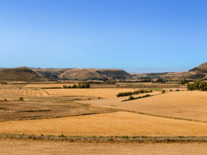 Sommer auf Sardinien - Sardinia4all