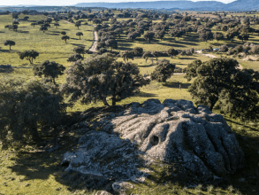 Herbst auf Sardinien