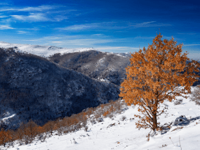 Winter auf Sardinien