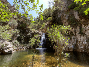 Riu Alinu - Herrlicher Wasserfall im Dschungel von Is Cannoneris
