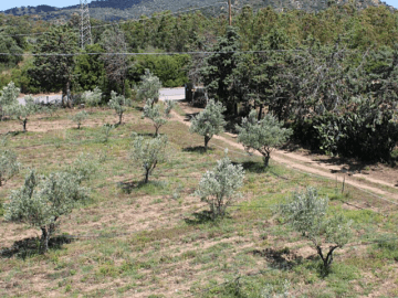 casa berchida (italianway) - sardinia4all (2).png