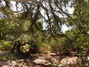villa teresa - torre delle stelle, sardinien - sardinia4all (12).jpg