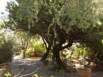 villa teresa - torre delle stelle, sardinien - sardinia4all (13).jpg