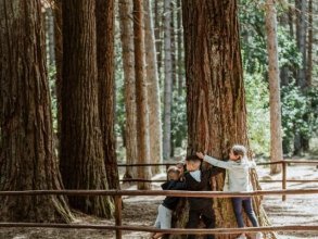 Vallicciola Monte Limbara Nature Hotel