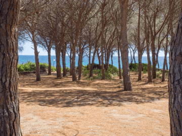 vakantiehuisje sardinie aan zee - sardinia4all (24).png