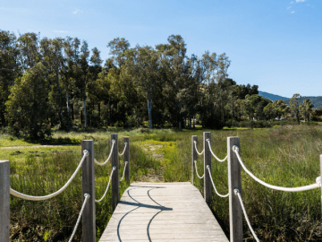villa cala sinzias - sardinia4all (30).png