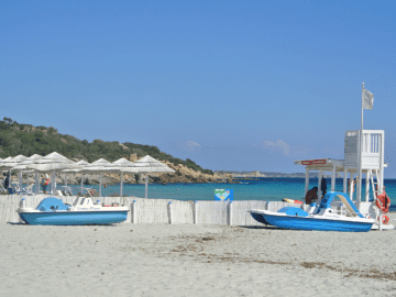 simius playa - sardinie (1).png