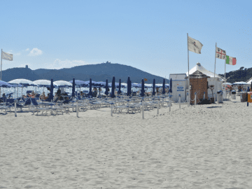 simius playa - sardinie (2).png