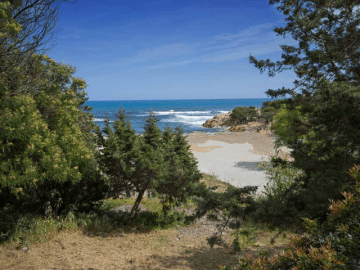 casa risacca orosei - sardinia4all (1).png