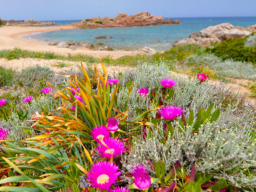 villa grey di portobello - sardinia4all (22).png