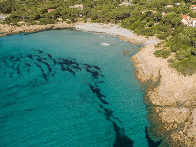 casa ibisco met zwembad in orosei - sardinie (13).png