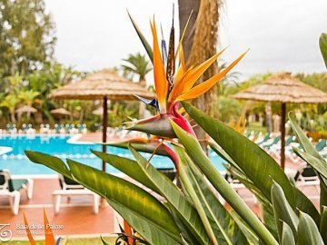 baia delle palme beach appartements - sardinien 2023 - sardinia4all (7).jpg