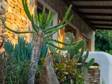 calalupo stintino (17).jpg