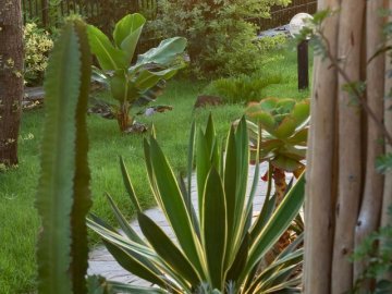 calalupo stintino (14).jpg