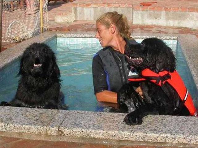 Zwembad voor honden - Residence Capriccioli - Sardinië 