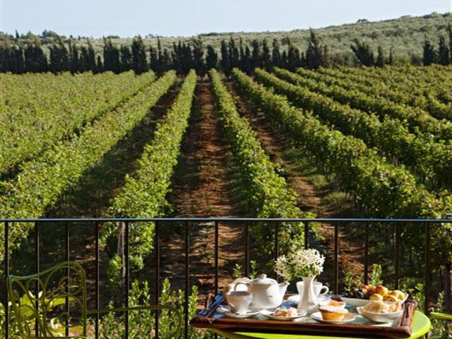 Uitzicht vanuit de kamer over de wijngaard - Alghero - Sardinië 