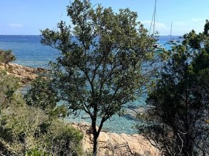 Wandel vanaf Romazzino naar Monte Zoppu via de Pevero Health Trail. Geniet van kleine baaien, geurige macchia en uitzicht over de Costa Smeralda.