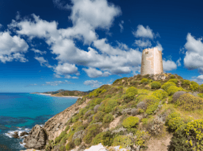Frühling auf Sardinien
