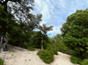 Scala e Sarca Buchi Arta