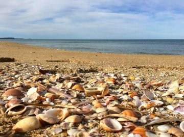 Narbolia - Sardinien - Sardinia4all