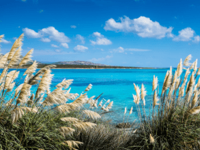 Frühsommer auf Sardinien - Sardinia4all