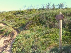 Wanderung Porto Istana - Porto San Paolo 3 Sardinien SARDINIA4ALL