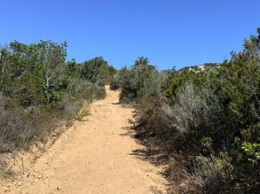 Wandel vanaf Romazzino naar Monte Zoppu via de Pevero Health Trail. Geniet van kleine baaien, geurige macchia en uitzicht over de Costa Smeralda.